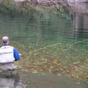 angler casting on still water with fall leaves