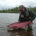 releasing a big king salmon