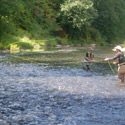 casting in a riffle