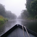 fog lifting off siletz river