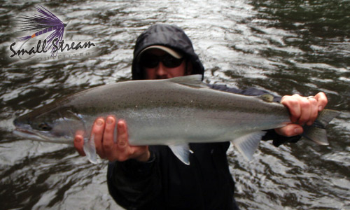 Oregon December 2010, fishing photo gallery, hatchery and native Winter  steelhead