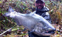 jesse with a chrome oregon coast chinook salmon